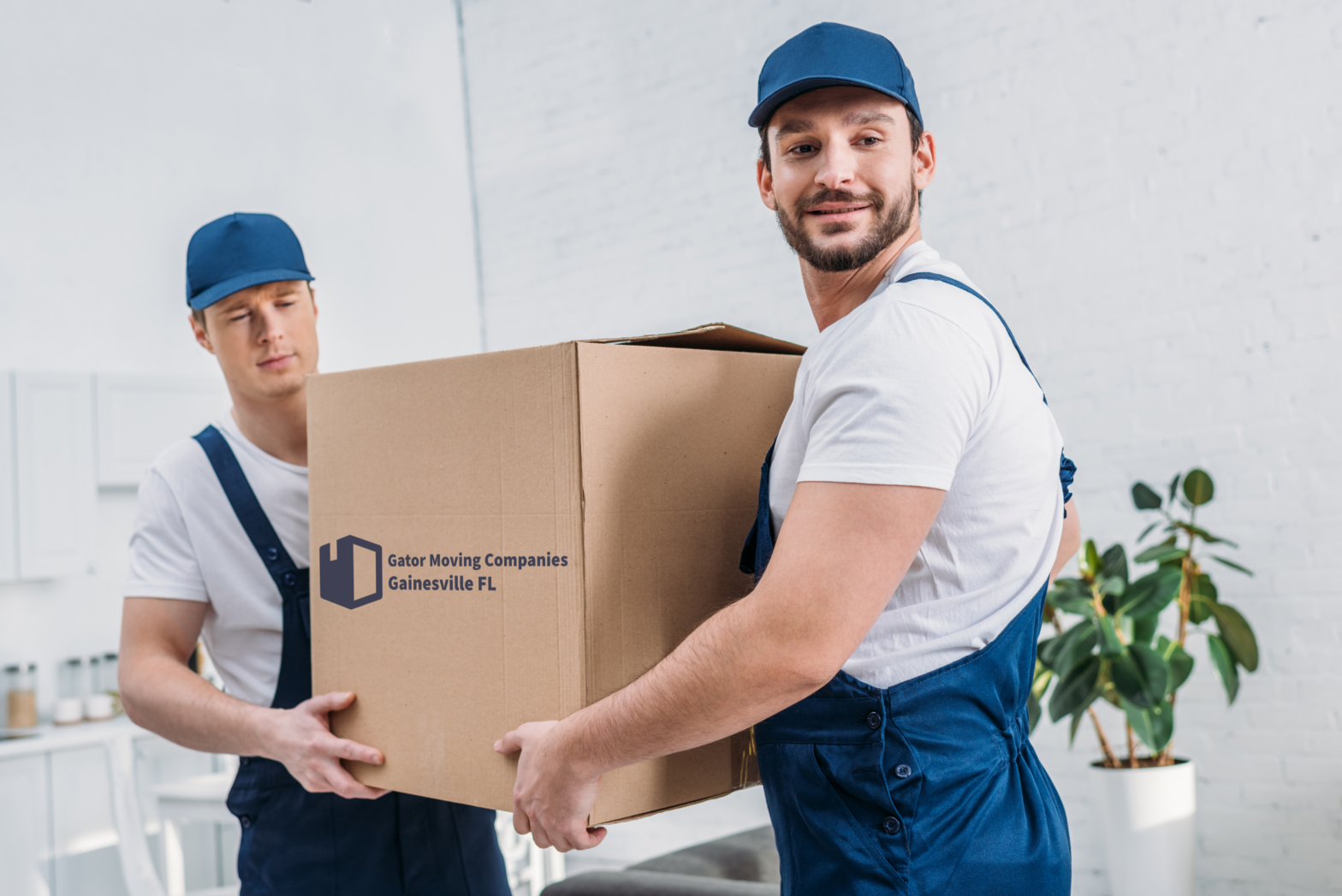 gainesville moving companies